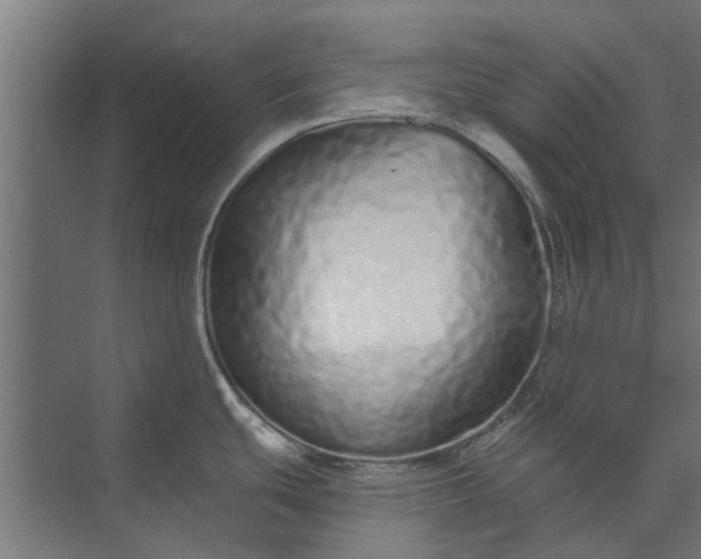 X0000073831439200608240939