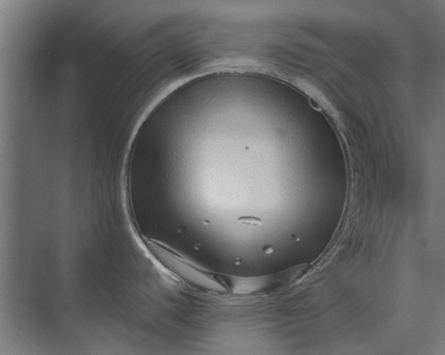 X0000073831440200608240939