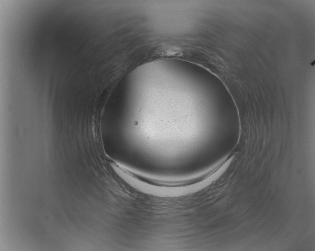 X0000073831442200608240939