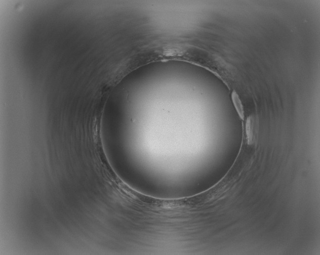 X0000073831443200608240939