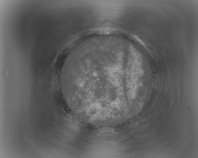 X0000073831446200608240938