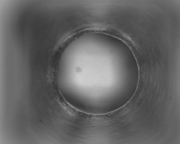 X0000073831448200608240938