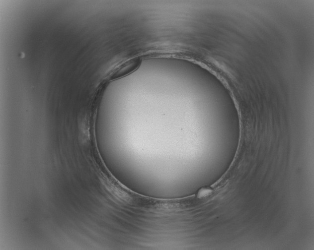 X0000073831451200608240938