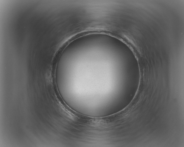 X0000073831452200608240938