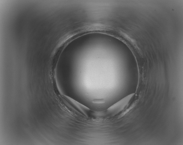 X0000073831453200608240938