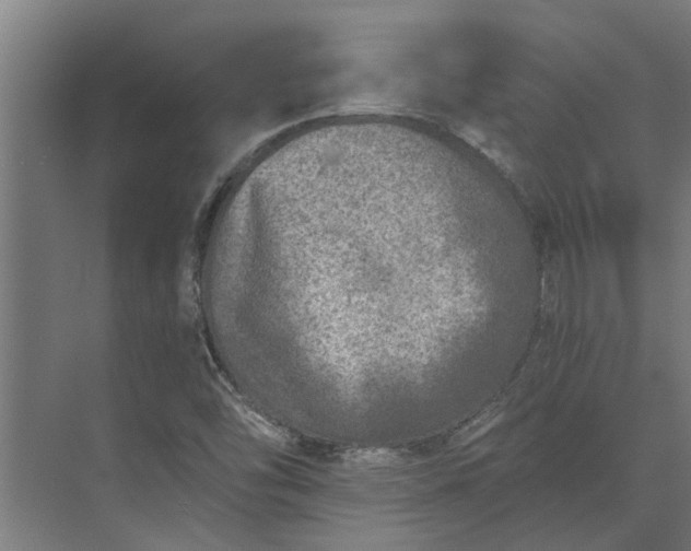 X0000073831454200608240938