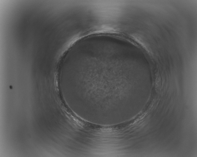 X0000073831455200608240938