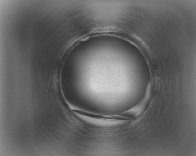 X0000073831457200608240938