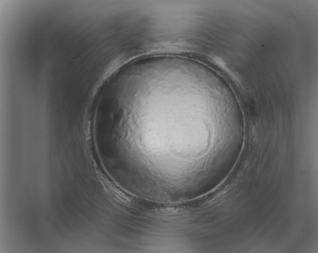 X0000073831459200608240938