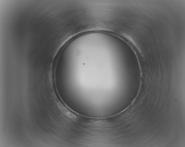 X0000073831460200608240938