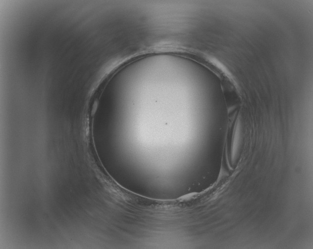 X0000073831461200608240938