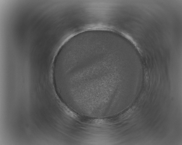 X0000073831463200608240938