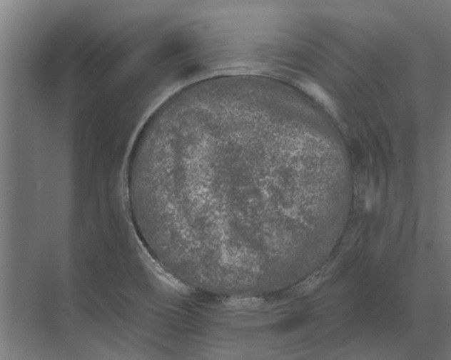 X0000073831466200608240938