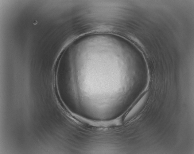 X0000073831467200608240938