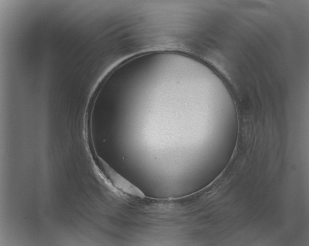 X0000073831468200608240938