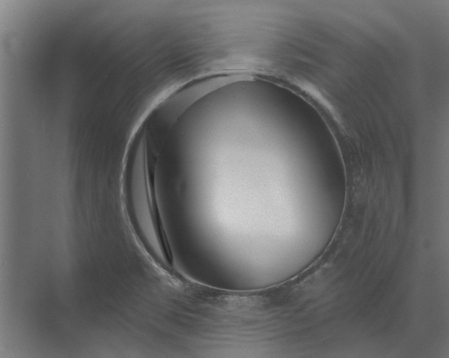 X0000073831469200608240938