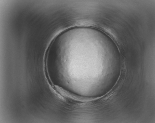 X0000073831471200608240938