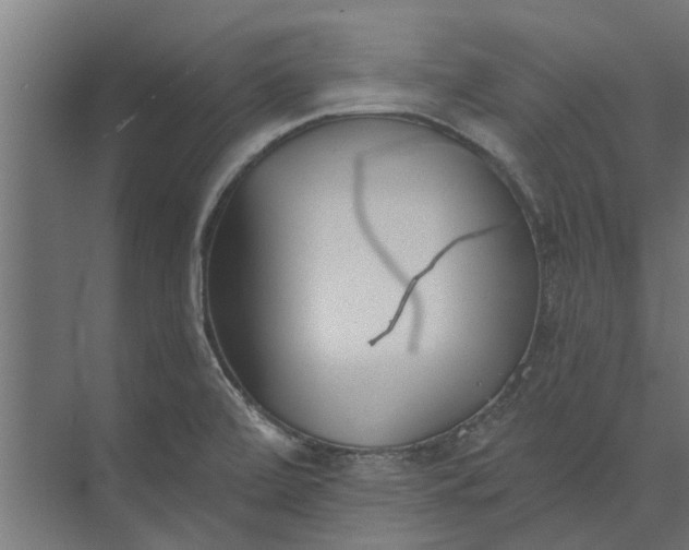 X0000073831472200608240938