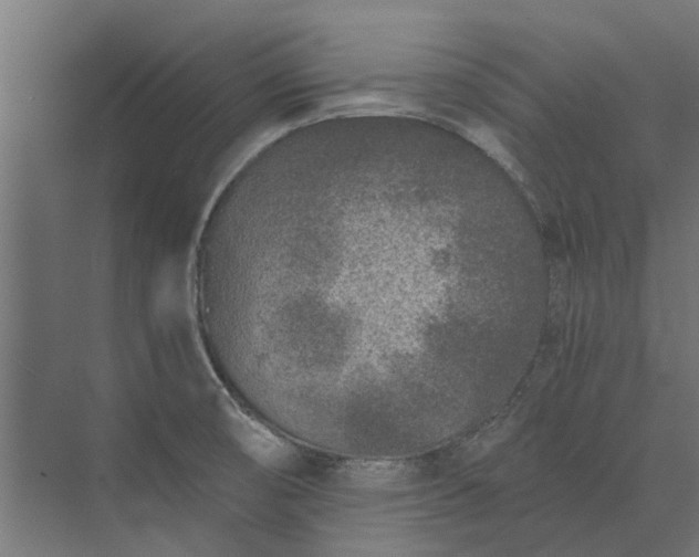 X0000073831474200608240938