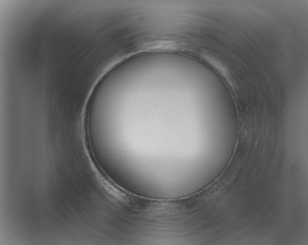 X0000073831475200608240938