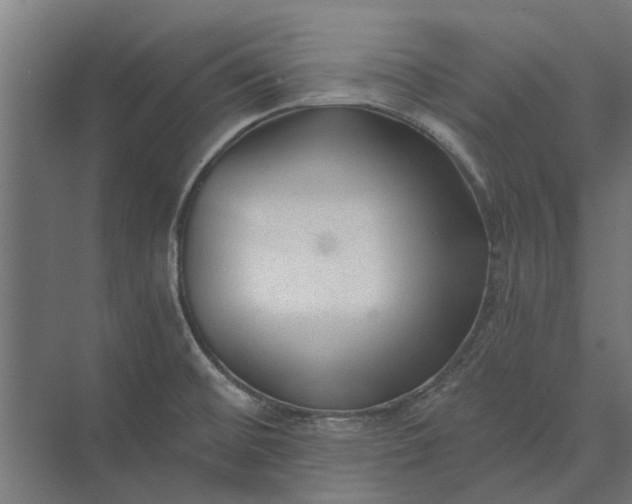 X0000073831476200608240938