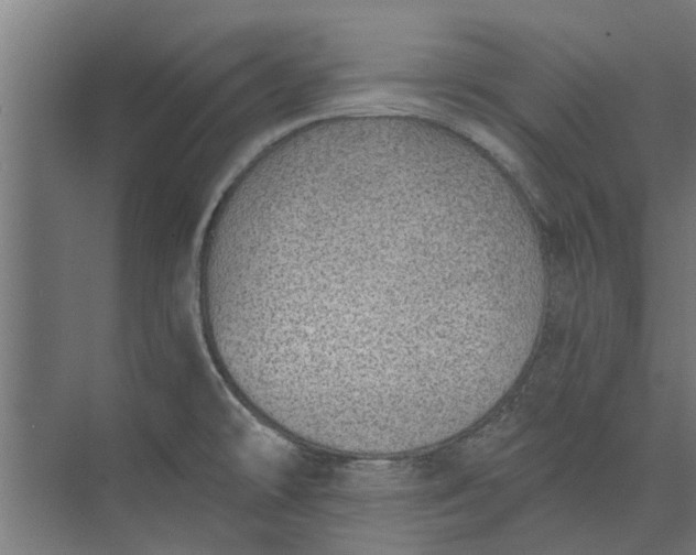 X0000073831478200608240938