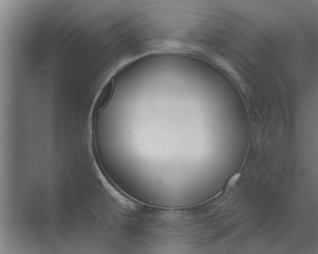 X0000073831479200608240938