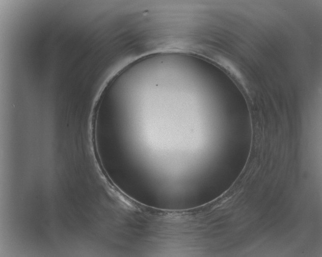 X0000073831480200608240938