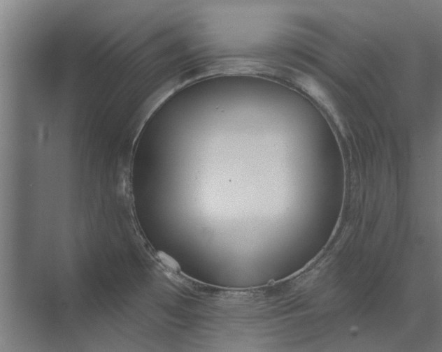 X0000073831481200608240938