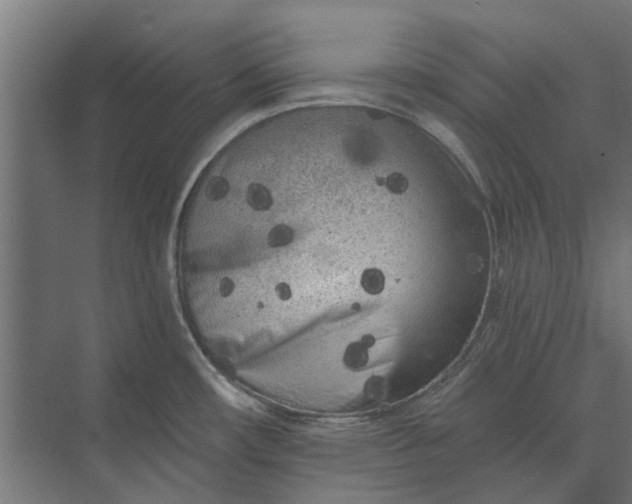 X0000073831482200608240938