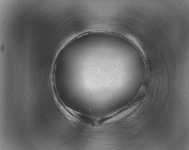 X0000073831485200608240938