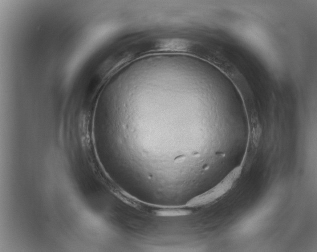 X0000073831487200608240938