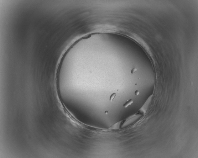 X0000073831488200608240938