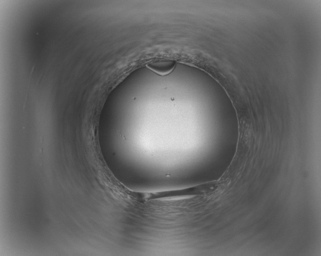 X0000073831489200608240937