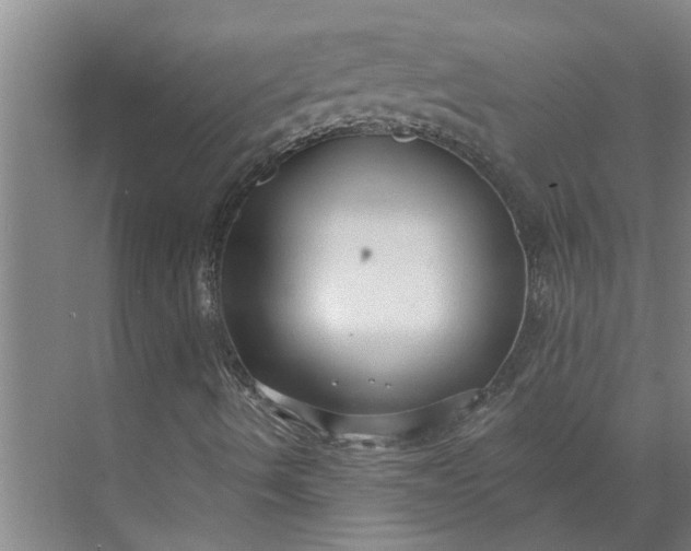 X0000073831490200608240937