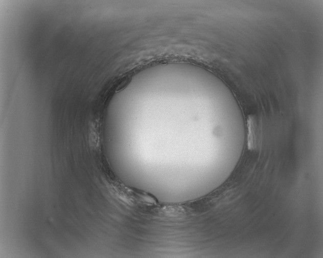 X0000073831491200608240937