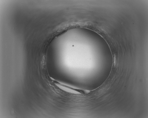 X0000073831492200608240937