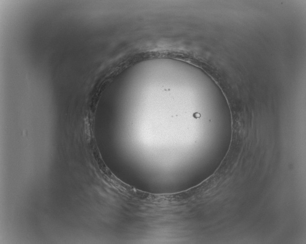 X0000073831493200608240937