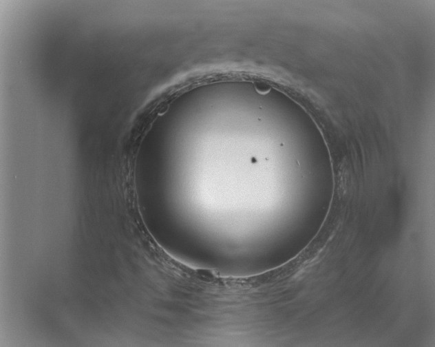 X0000073831494200608240937