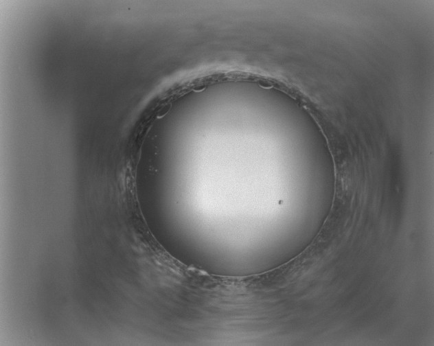 X0000073831495200608240937