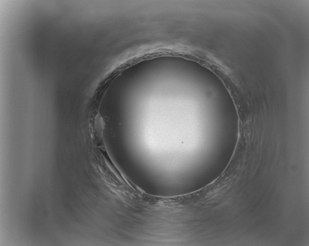 X0000073831496200608240937