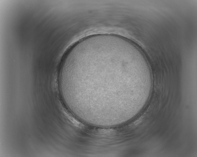 X0000073831498200608240937