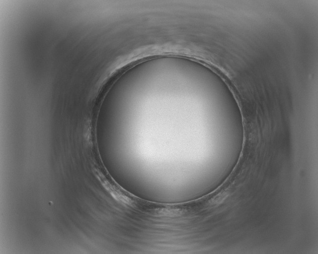 X0000073831499200608240937