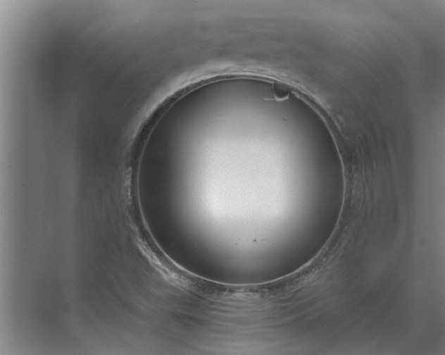 X0000073831503200608240937