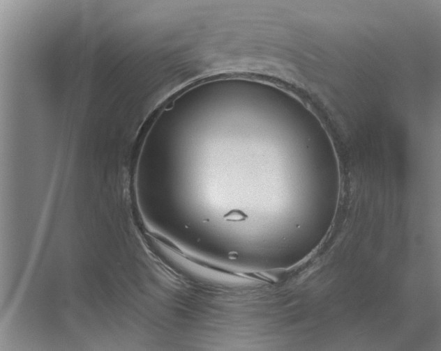 X0000073831505200608240937