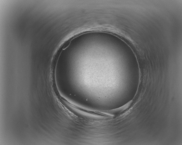 X0000073831506200608240937