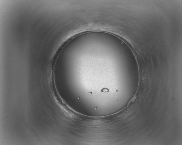 X0000073831507200608240937