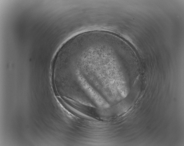 X0000073831508200608240937