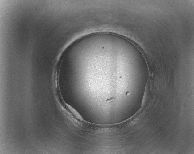 X0000073831510200608240937