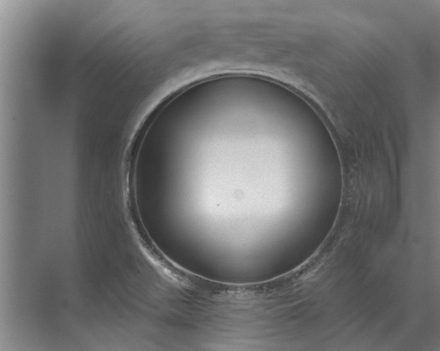 X0000073831511200608240937